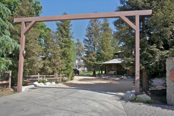 9131-AG-island_moves