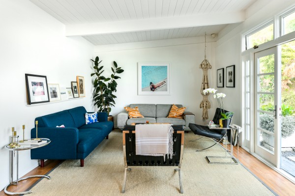 B541-LA SMALL SHOOTS O..