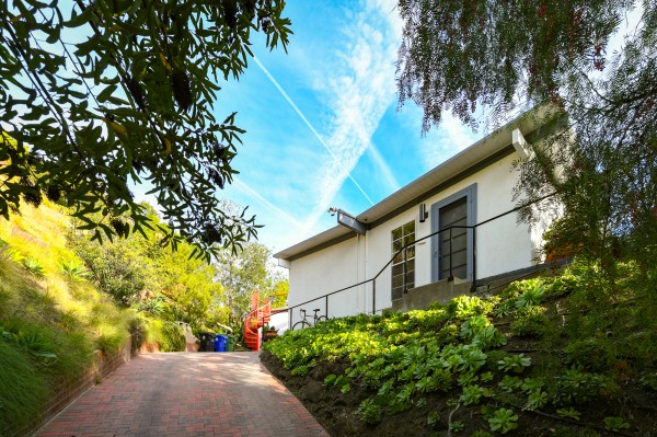 B541-LA SMALL SHOOTS O..