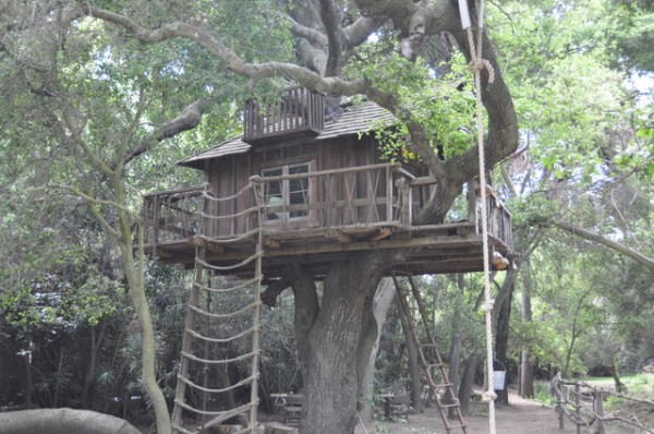 A816-TREE HOUSE
