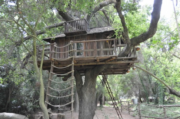 A816-TREE HOUSE
