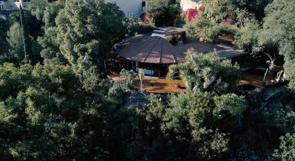 D101-BH | SMALLER SHOO..