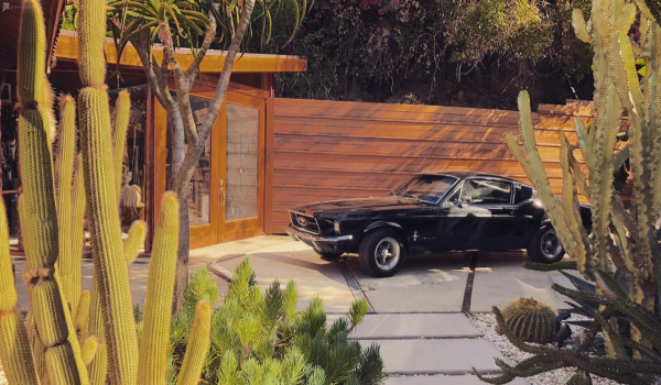 D101-BH | SMALLER SHOO..