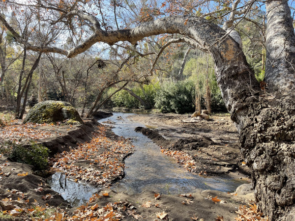 B951-3 WATER FEATURES