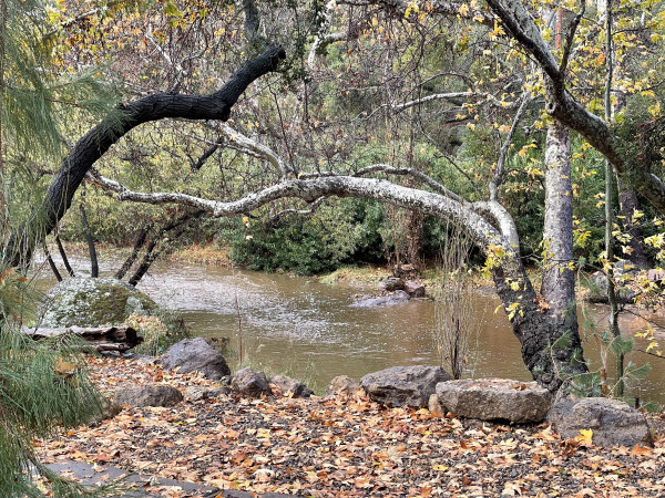 B951-3 WATER FEATURES