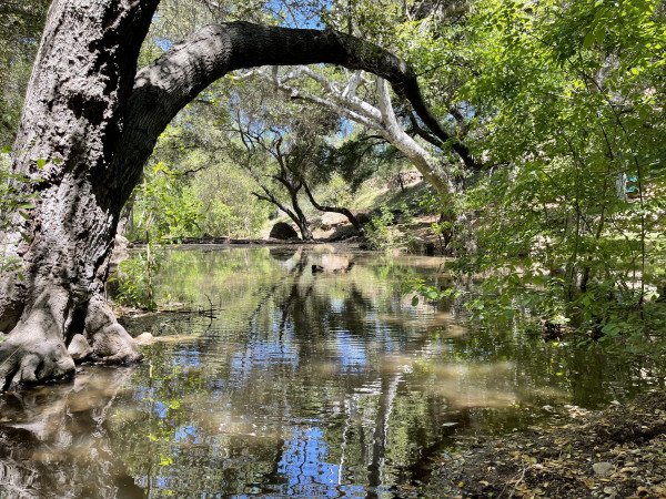 B951-3 WATER FEATURES