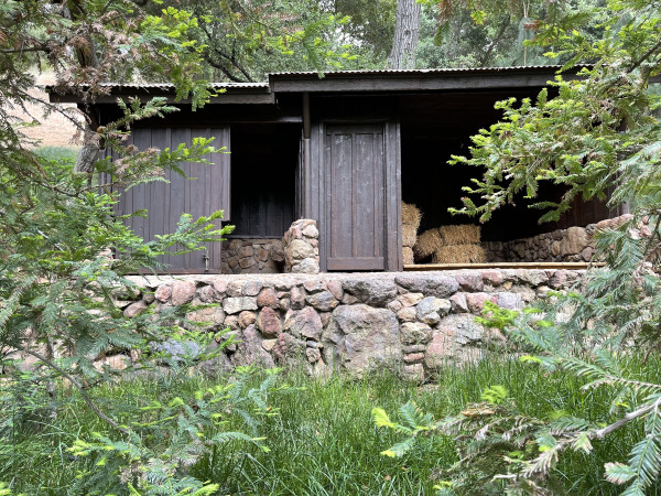 B951-12 OUT BUILDINGS