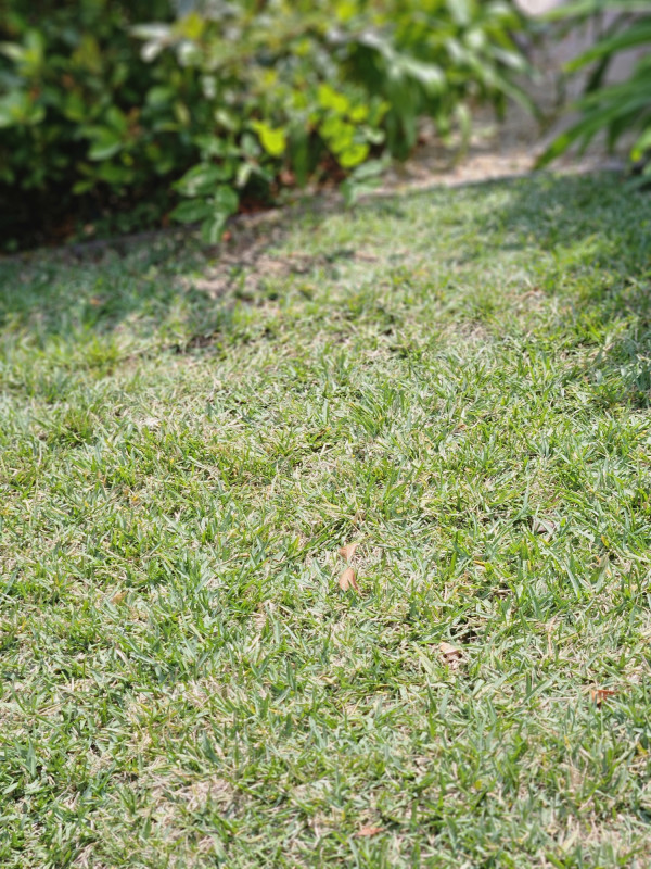 9217 Post Use Photos 5..