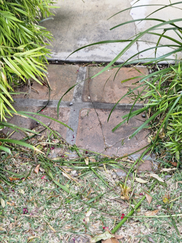 9217 Post Use Photos 5..