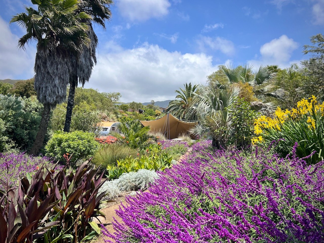C276-MA-GARDENS